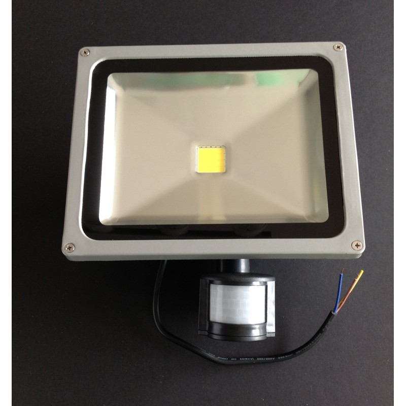 Projecteur LED 30W haute luminosité 3700lm pour l'extérieur avec détecteur  de mouvement